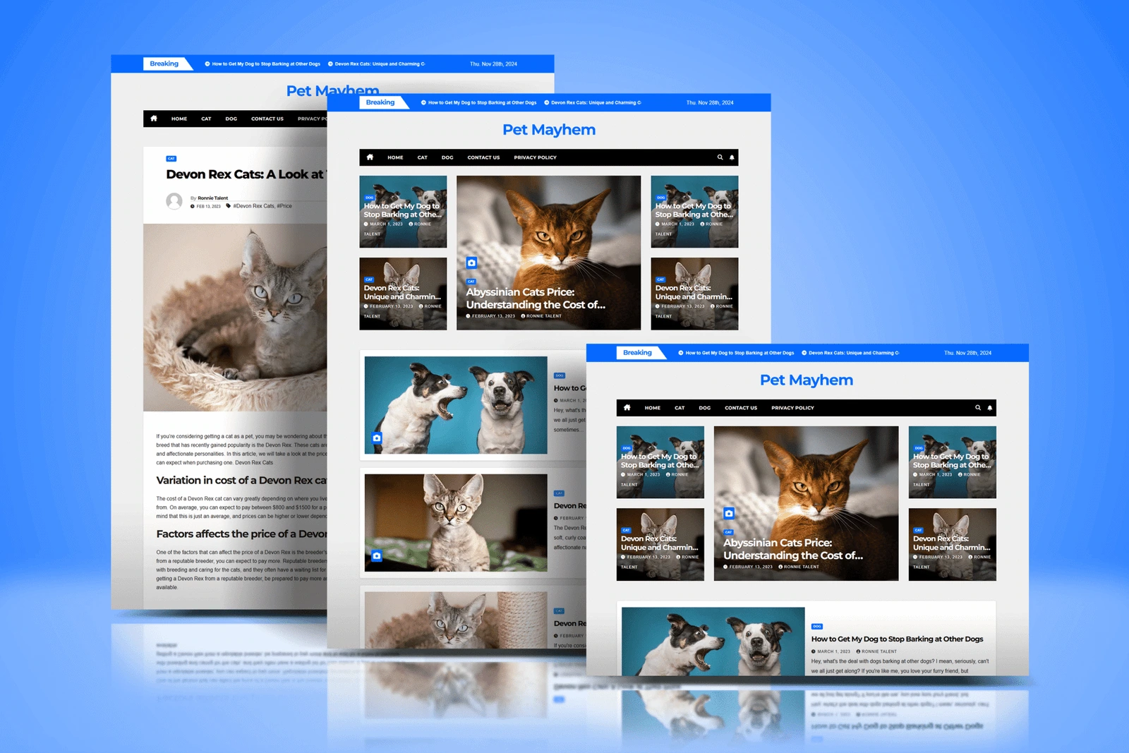 Full Pet Mayhem website presentation